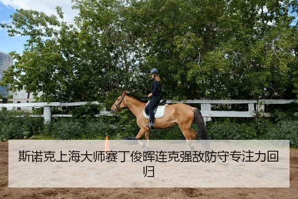 si-nuo-ke-shang-hai-da-shi-sai-ding-jun-hui-lian-ke-qiang-di-fang-shou-zhuan-zhu-li-hui-gui-2-962.jpg